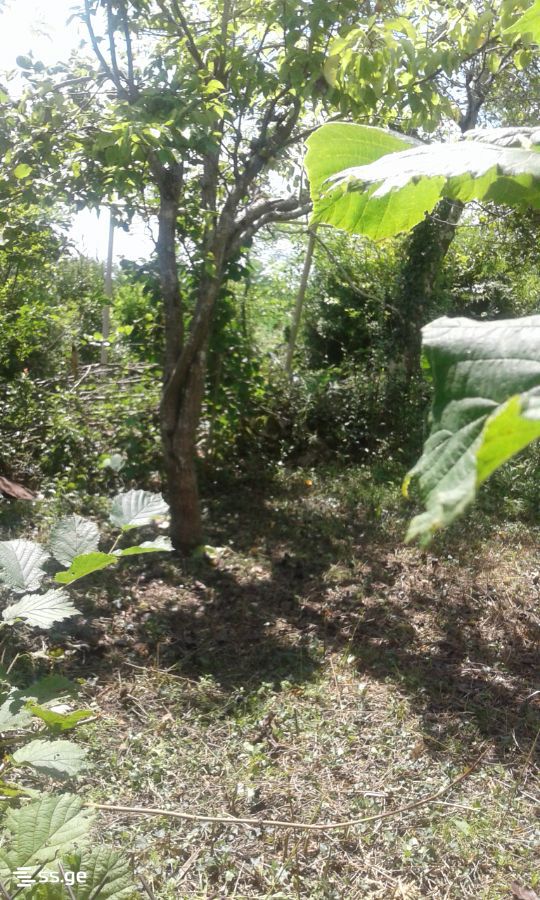 1 Room Private House For Sale view 2