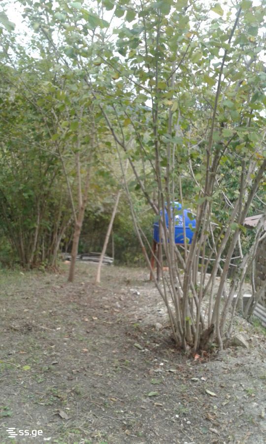 1 Room Private House For Sale view 3