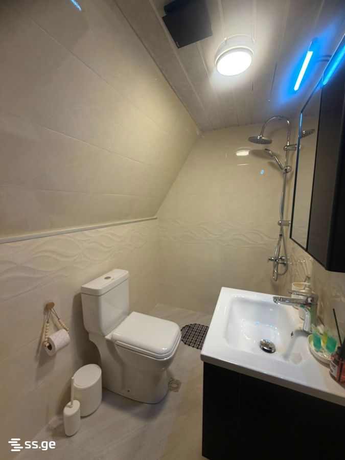 2 Room Summer Cottage For Rent. Batumi view 2