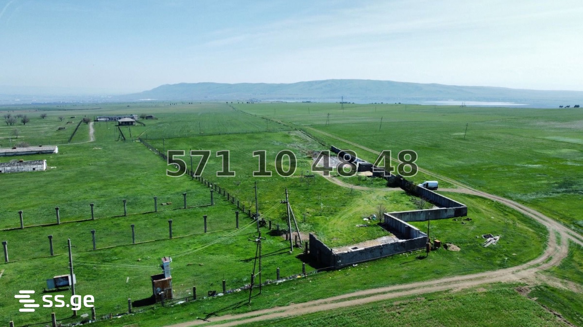 Commercial Plot For Sale In Kvemo Teleti, In Gardabani Municipality view 14