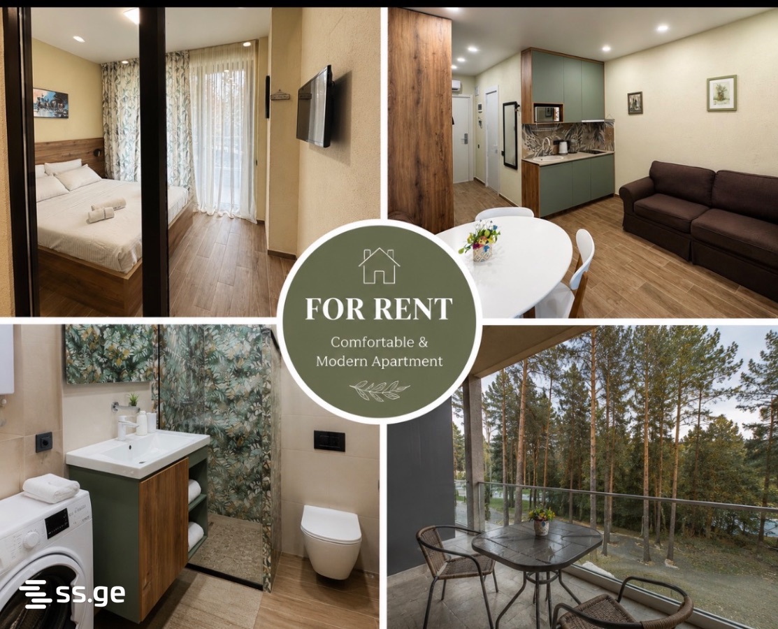 2 Room Hotel For Rent. Tsikhisdziri view 1