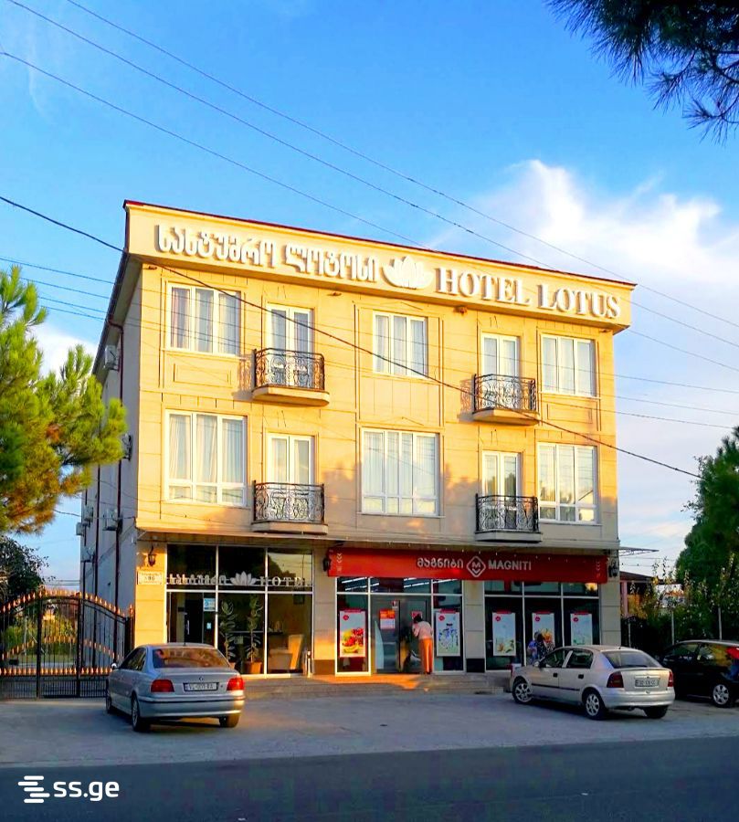 Hotel For Sale. Zugdidi view 1