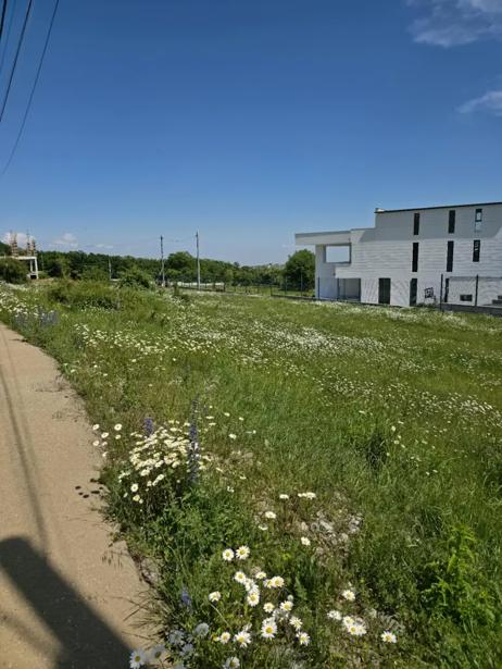 https://static.ss.ge/20260807/14_53968a05-c866-46cb-95a1-b1ccad0712f2_Thumb.jpg