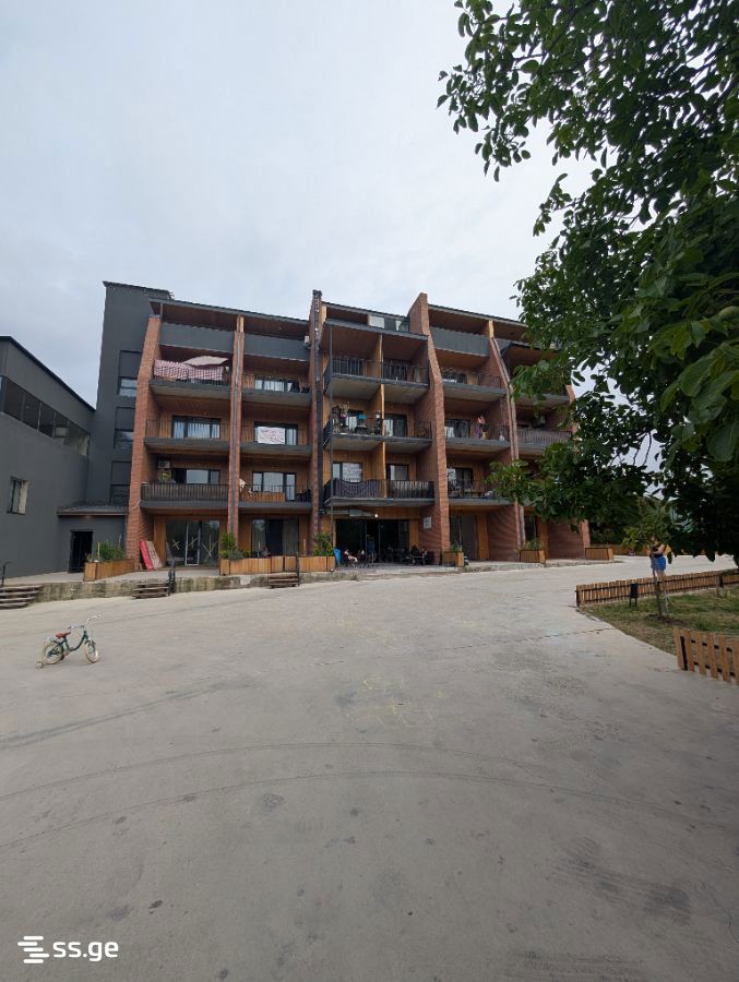 1 Room Flat For Rent. Bazaleti view 8