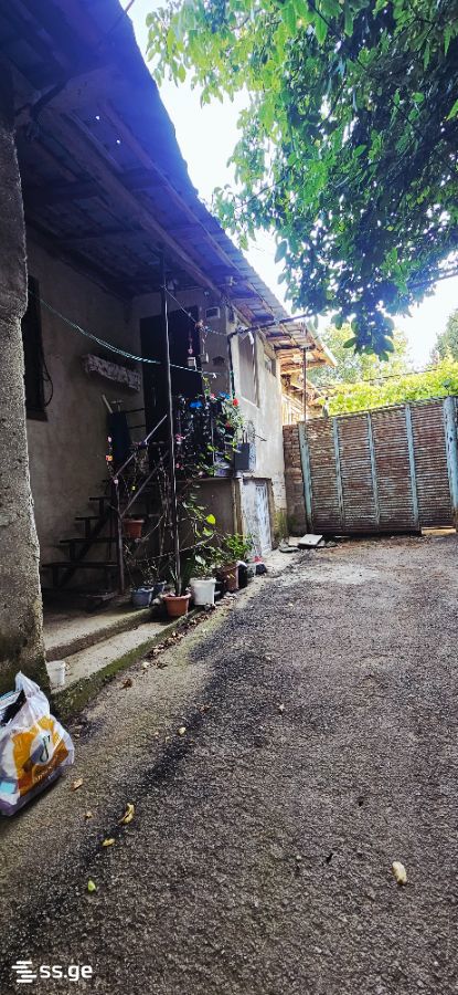 4 Room Summer Cottage Daily Rent. Kojori view 8