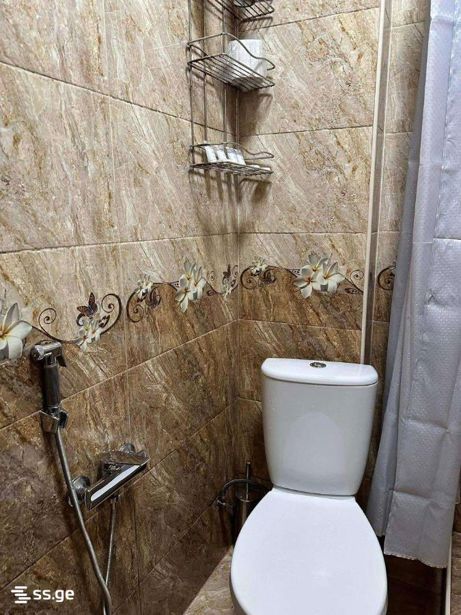 https://static.ss.ge/20260807/19_4c423a29-ee2f-47a9-add4-15f85e556c8c_Thumb.jpg