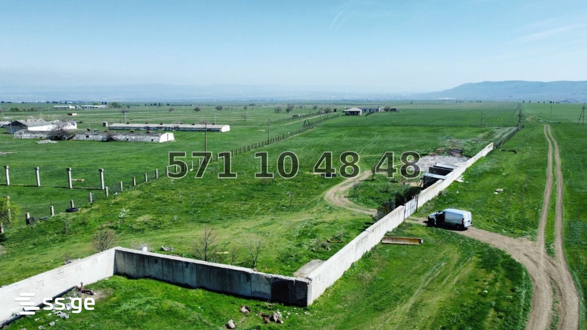 Commercial Plot For Sale In Kvemo Teleti, In Gardabani Municipality view 16
