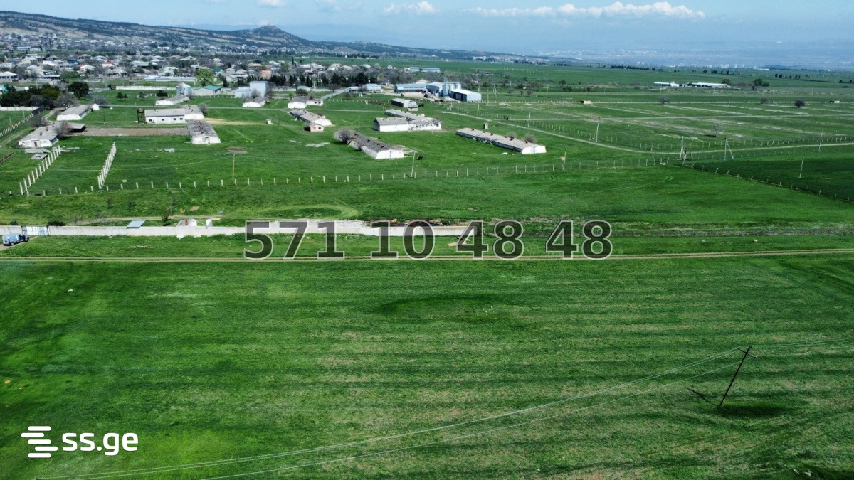 Commercial Plot For Sale In Kvemo Teleti, In Gardabani Municipality view 20
