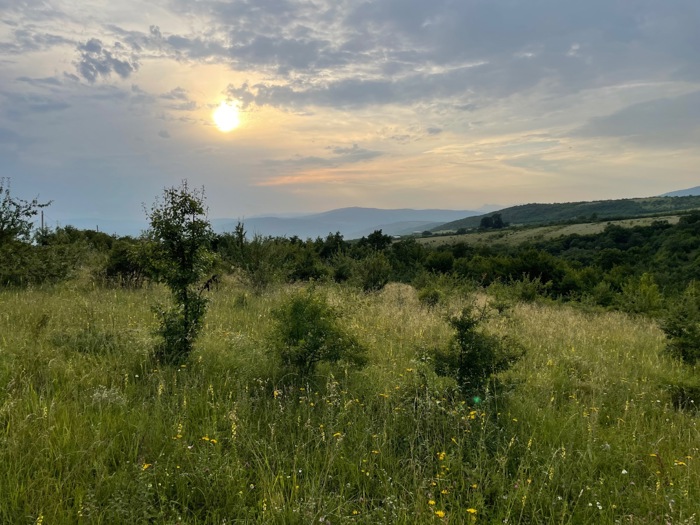 https://static.ss.ge/20260807/4_222163f7-36af-4b42-a9c8-58ae042013c1_Thumb.jpg