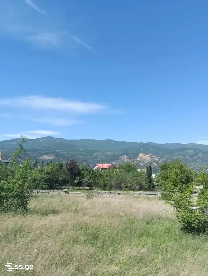 Land For Sale. Didi Digomi view 2