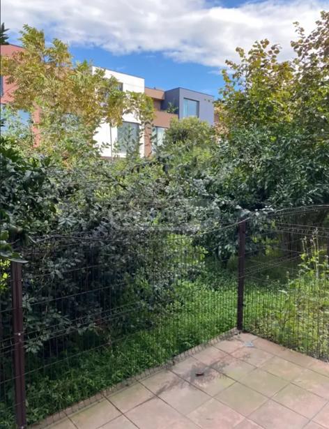 https://static.ss.ge/20260808/10_68d058c4-0a6b-4d97-8ae4-d390c88aa15e_Thumb.jpg