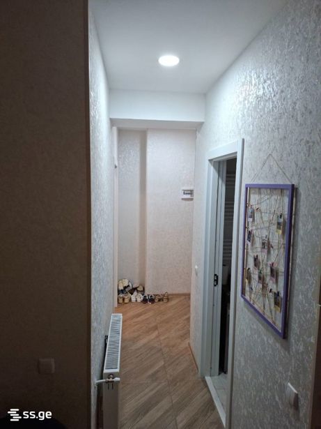 https://static.ss.ge/20260808/12_509e428b-b5a3-4c09-b5f8-b081c8c32ab7_Thumb.jpg