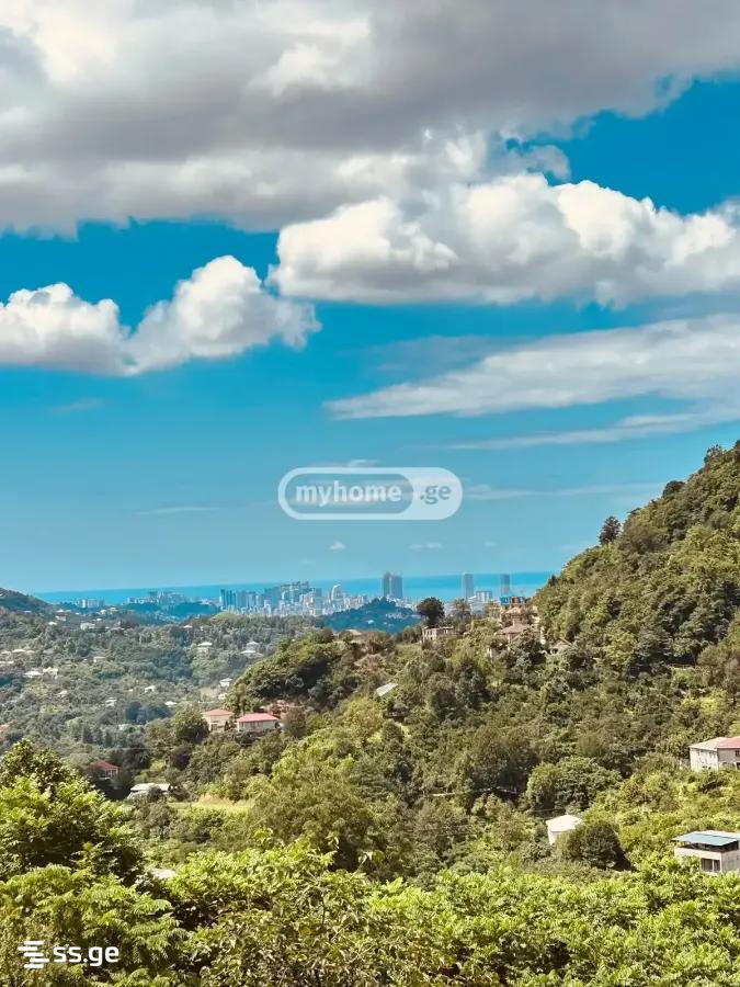 3 Room Summer Cottage Daily Rent. Batumi view 3