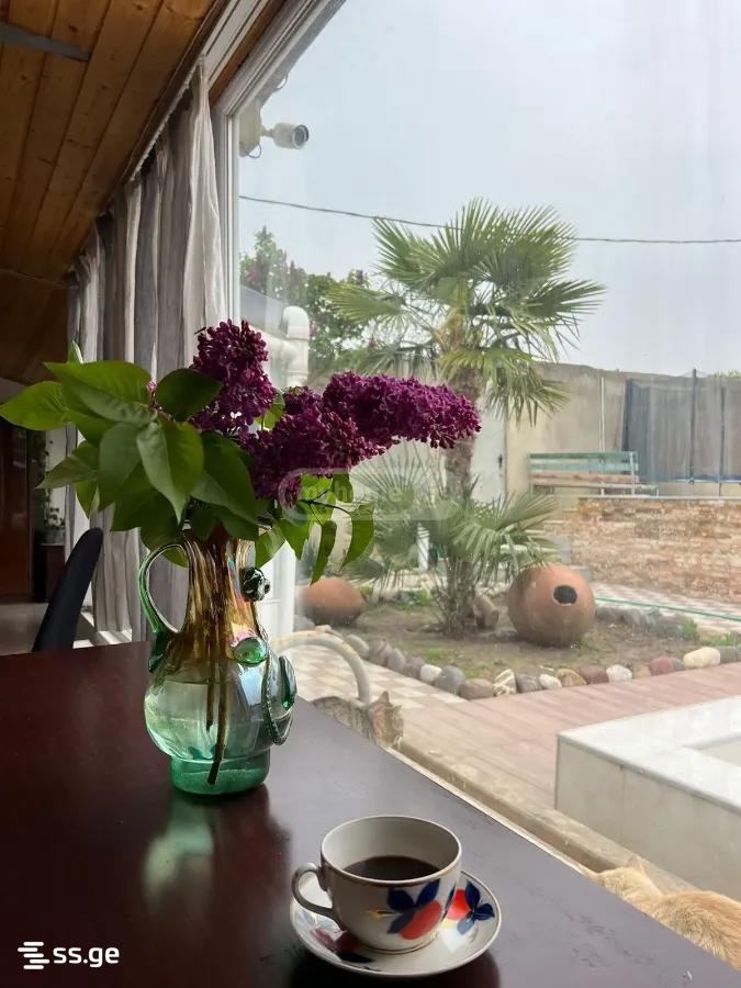 3 Room Summer Cottage For Rent. Tianeti view 4