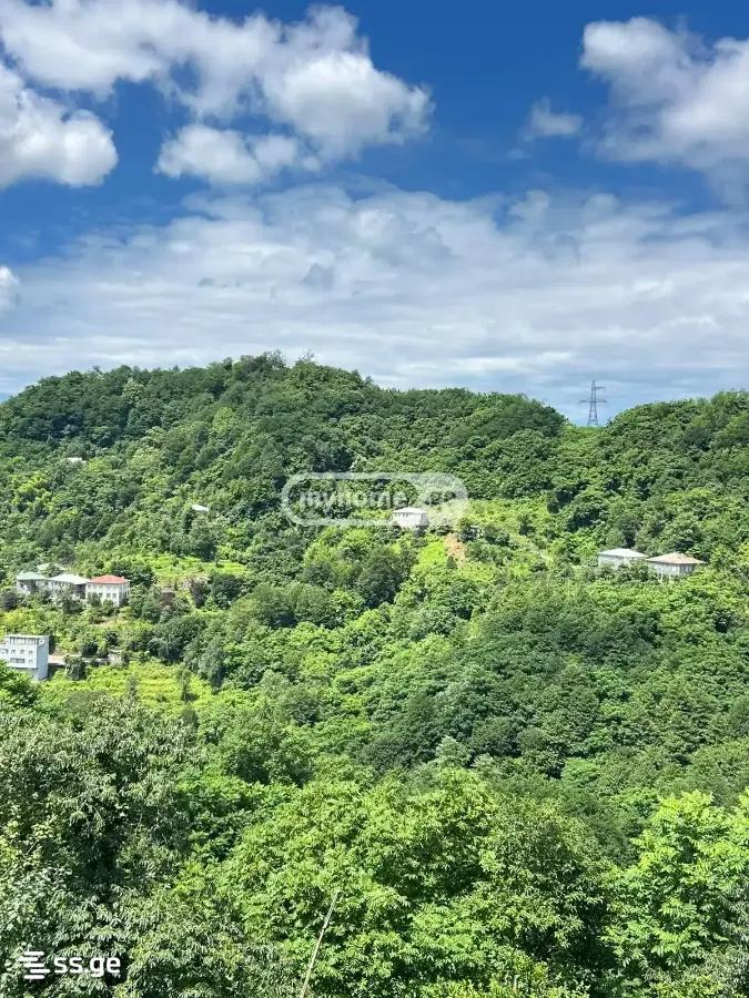 3 Room Summer Cottage Daily Rent. Batumi view 2