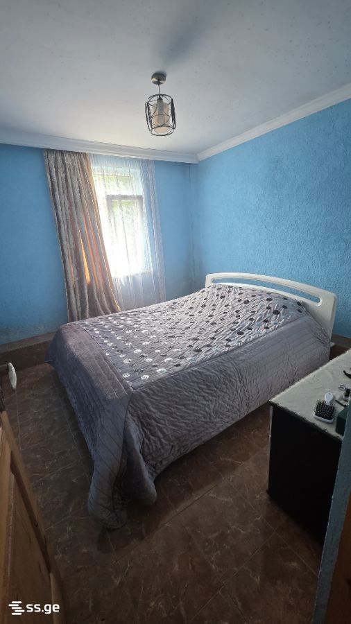 3 Room Private House For Rent. Akhalsopeli view 9