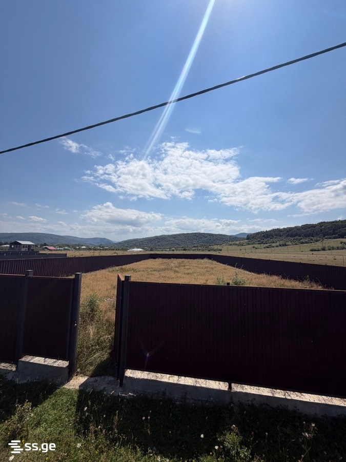 Land For Sale. Tianeti view 2