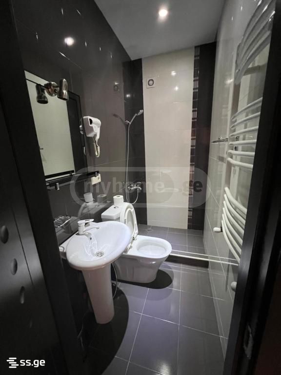 Hotel For Rent. Nadzaladevi view 11