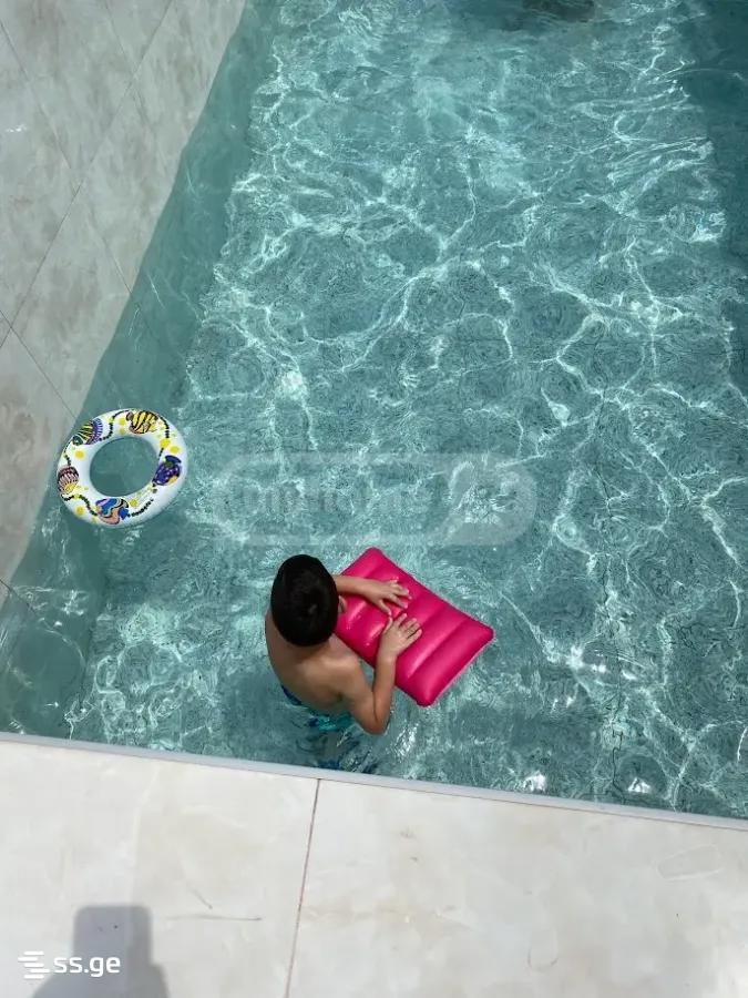 3 Room Summer Cottage For Rent. Tianeti view 10