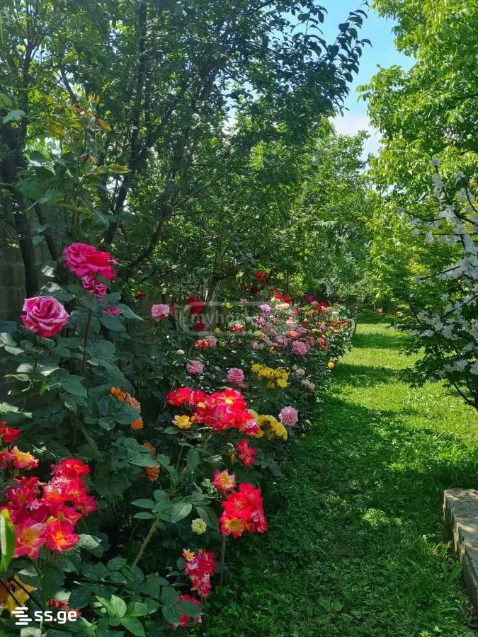 4 Room Summer Cottage For Rent. Saguramo view 12