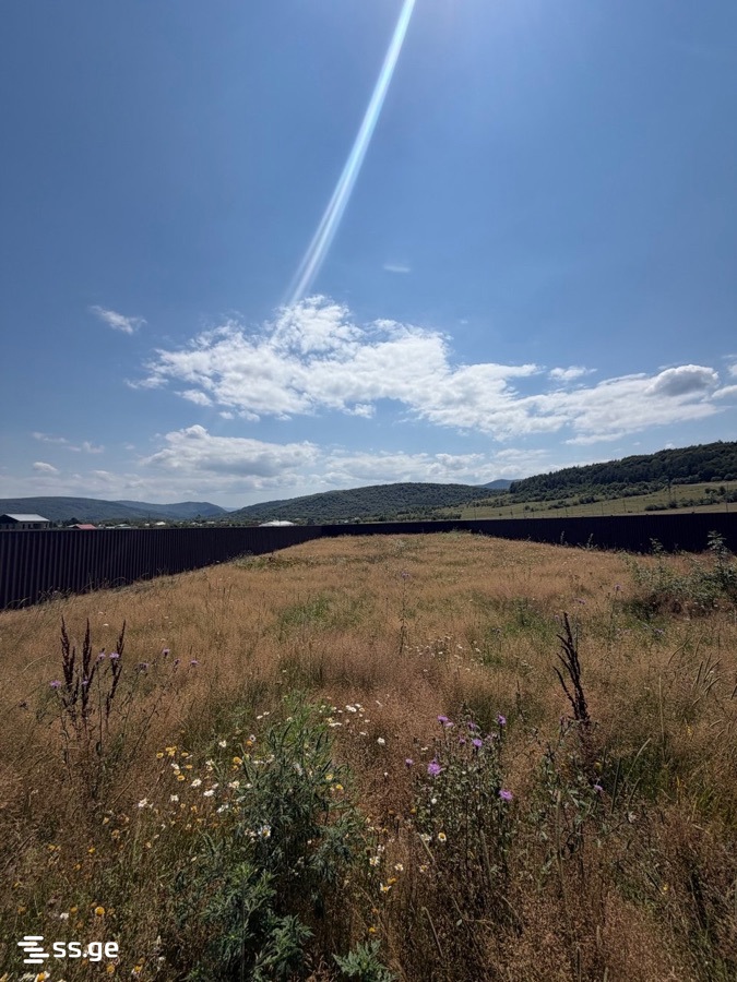 Land For Sale. Tianeti view 9