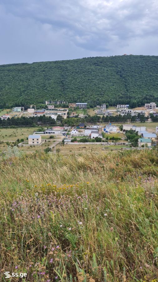Agricultural Plot For Sale In Upper Lisi view 8
