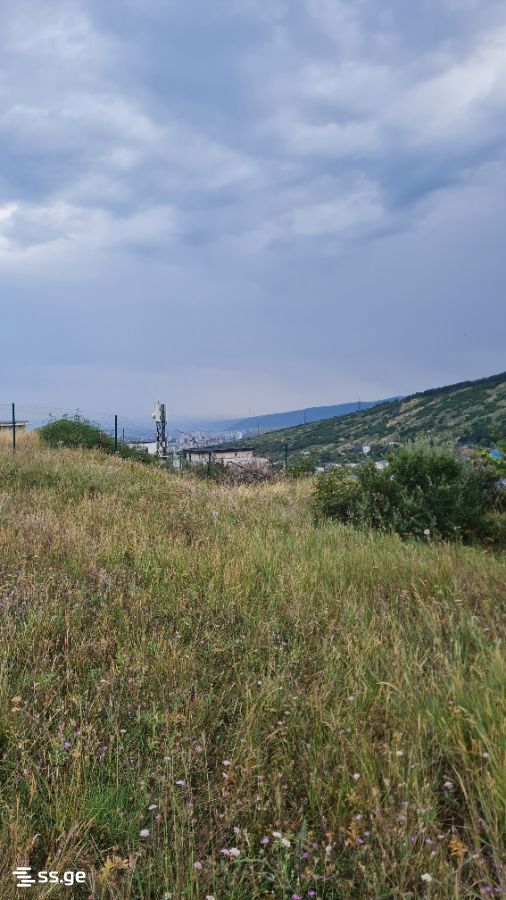 Agricultural Plot For Sale In Upper Lisi view 7