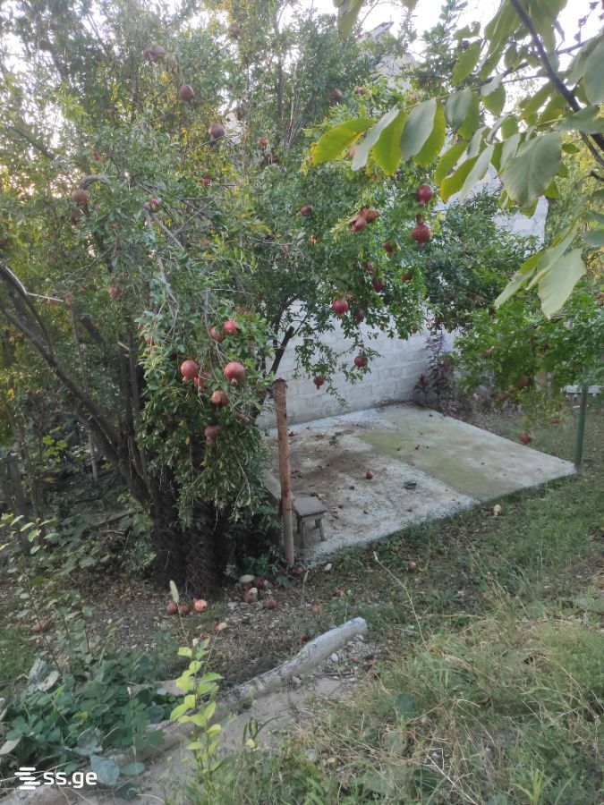 4 Room Summer Cottage For Sale view 3