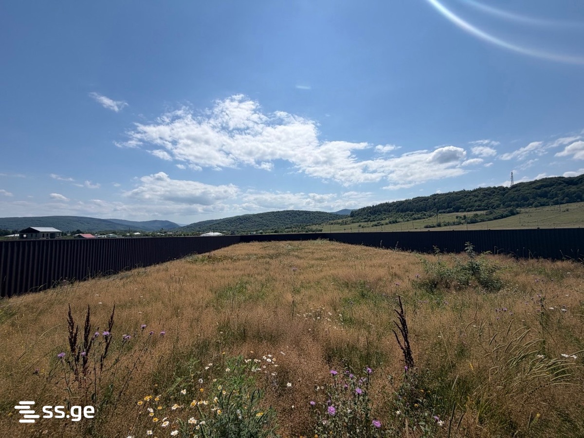 Land For Sale. Tianeti view 7