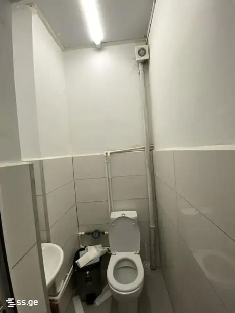 https://static.ss.ge/20260810/13_5730af90-dc53-4be1-951a-0bf4168b7b58_Thumb.jpg