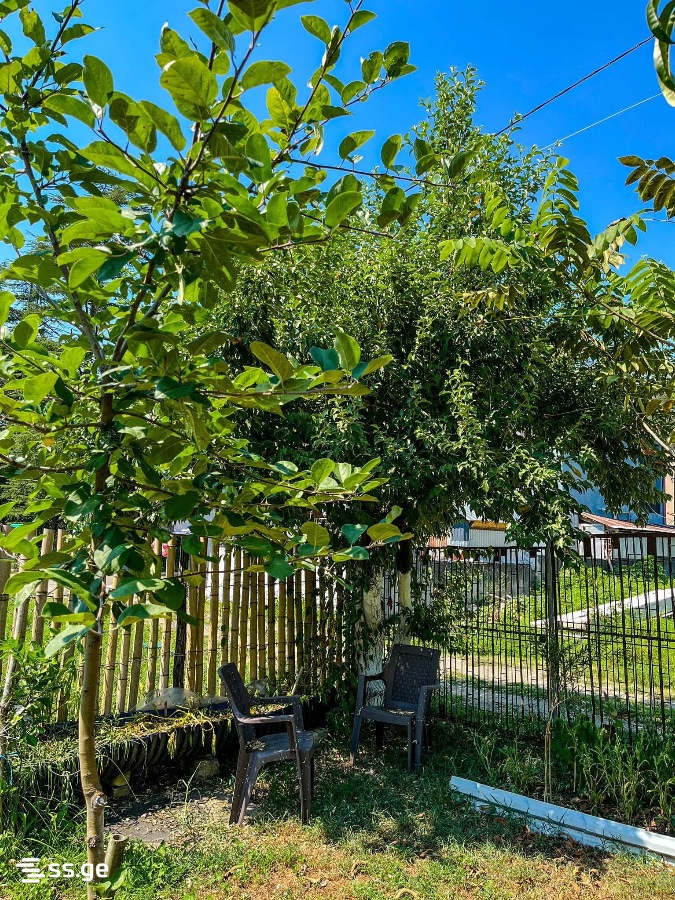 5 Room Summer Cottage Daily Rent. Shekvetili view 13