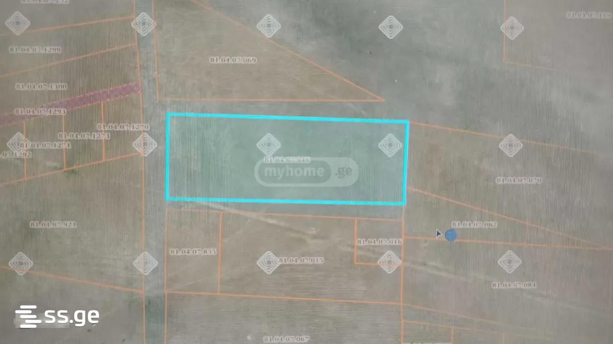 Land For Rent. Krtsanisi view 2
