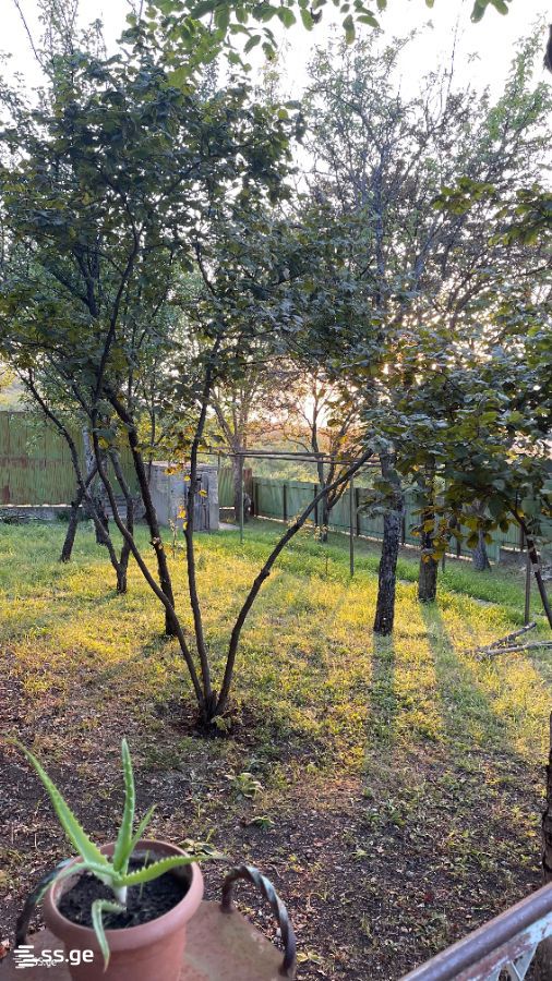 6 Room Summer Cottage For Rent. Saguramo view 13