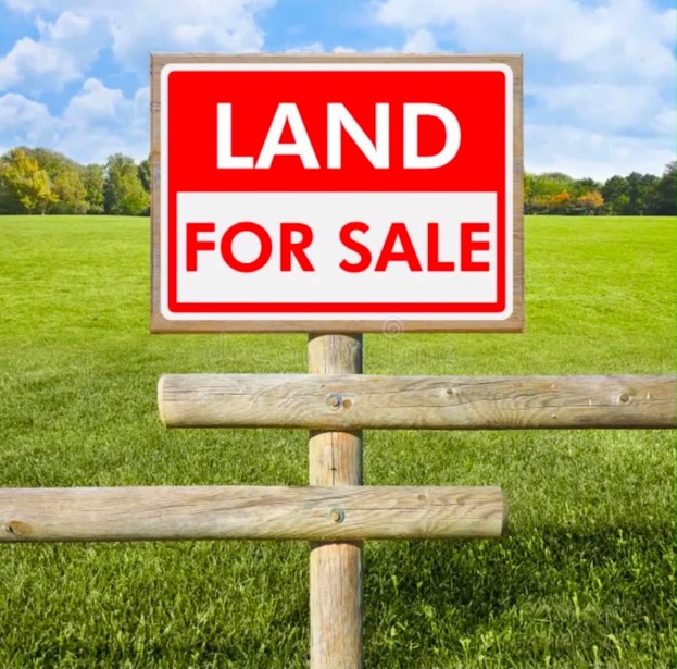 https://static.ss.ge/20260810/15_c532bc7b-b13f-47db-a280-2aa56a7fe996_Thumb.jpg