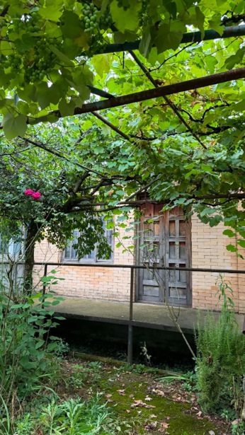 https://static.ss.ge/20260810/16_fddb5571-9c02-444b-b8fe-5946a58aca89_Thumb.jpg