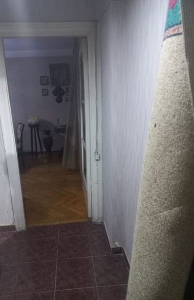 https://static.ss.ge/20260810/17_ff45ef32-4f20-46db-b04e-44ef0249c9aa_Thumb.jpg