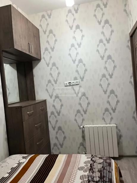 https://static.ss.ge/20260810/18_c216197e-4dfa-4f29-8ecf-3e5a9e4e6fdd_Thumb.jpg