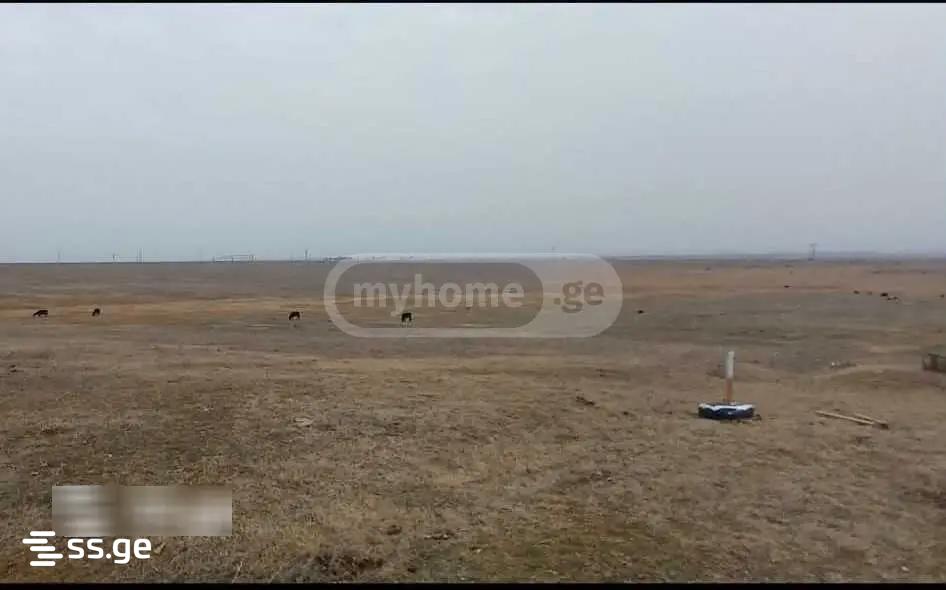 Land For Rent. Krtsanisi view 3