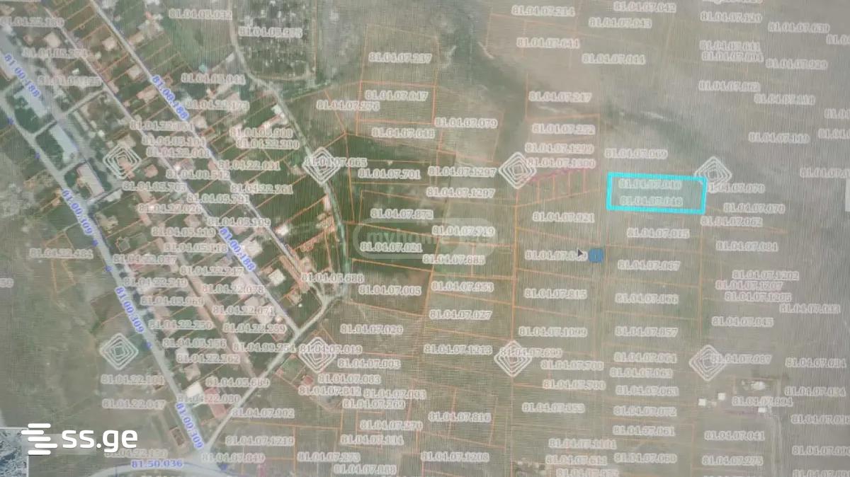 Land For Rent. Krtsanisi view 4