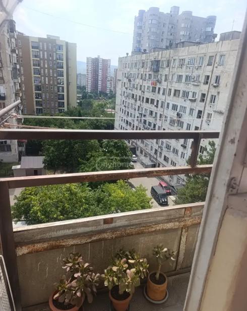 https://static.ss.ge/20260810/5_3ae1218b-bcce-4e32-8aaf-fa5256de7ea6_Thumb.jpg
