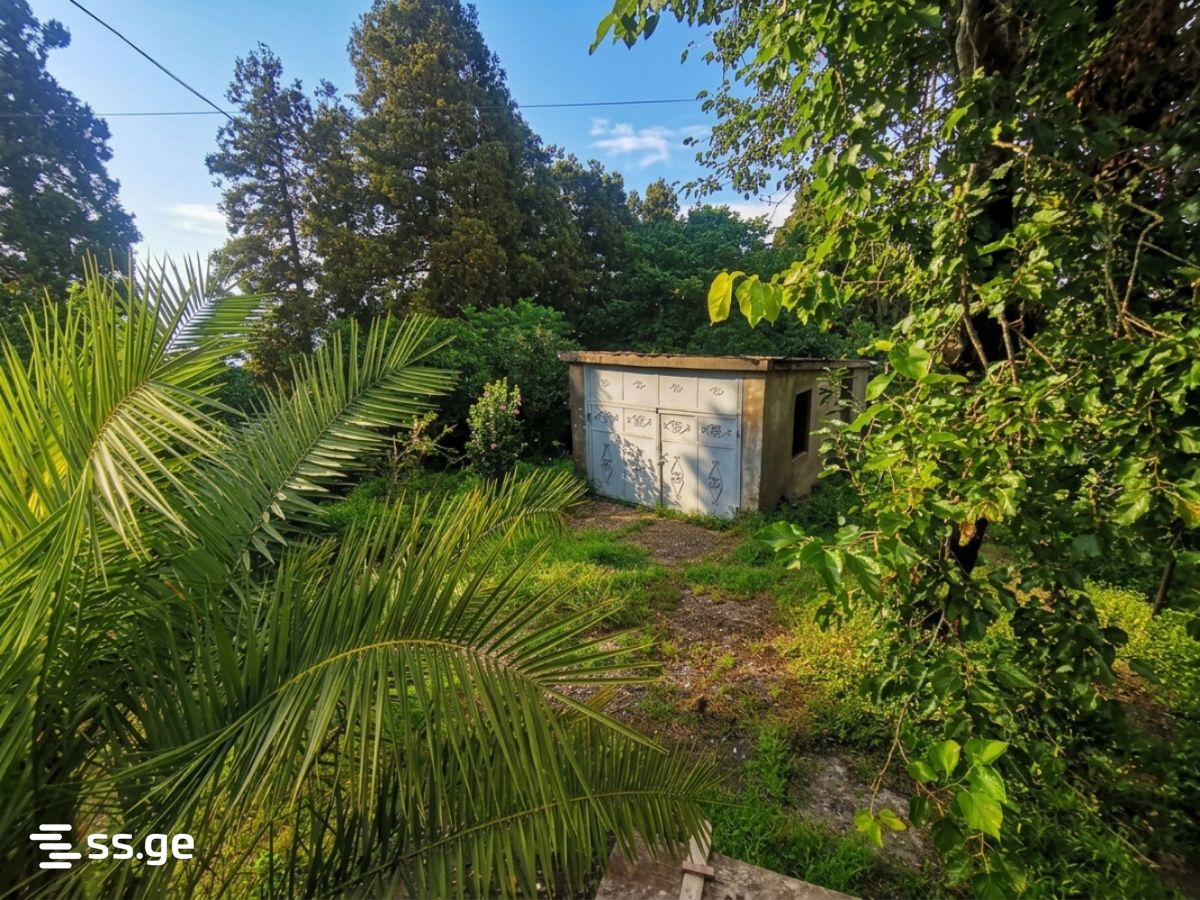 7 Room Private House For Rent. Tsikhisdziri view 11