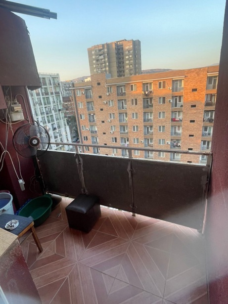https://static.ss.ge/20260810/8_5e2d081c-aafd-4a82-ad29-98d82f7ecf58_Thumb.jpg