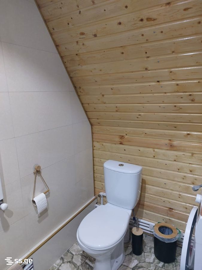 3 Room Summer Cottage Daily Rent. Mukhattskaro view 9