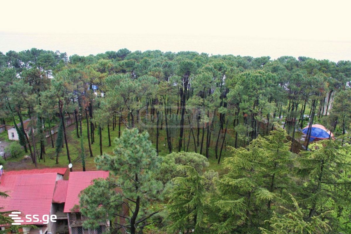 3 Room Flat For Sale view 3