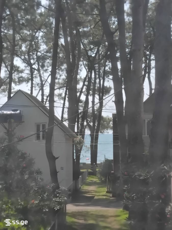 4 Room Private House Daily Rent. Grigoleti view 1