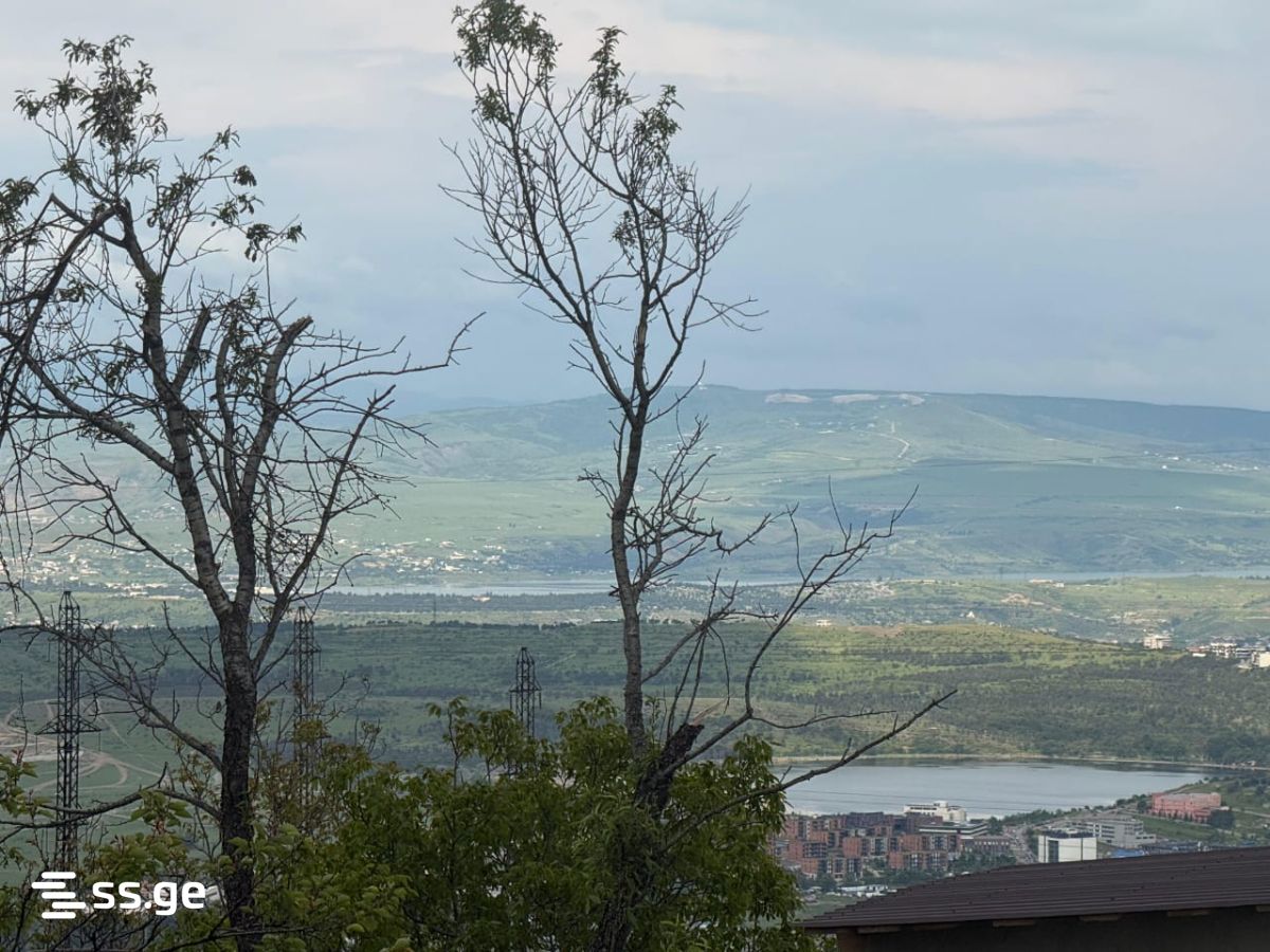 3 Room Summer Cottage Daily Rent. Mukhattskaro view 12