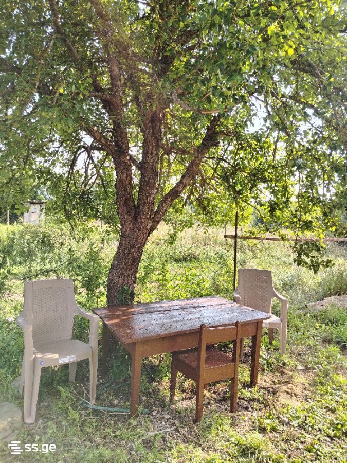 7 Room Summer Cottage Daily Rent. Tianeti view 2