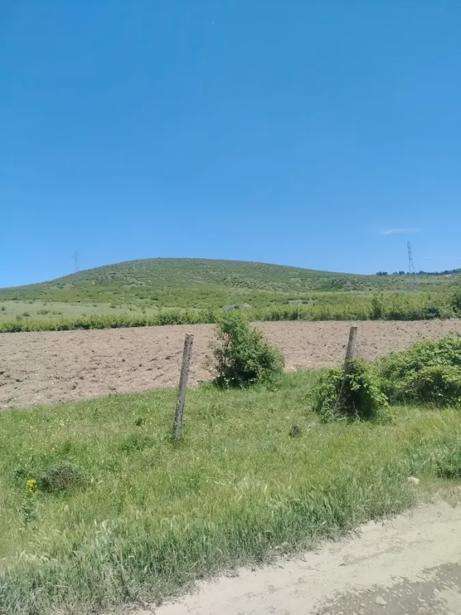 https://static.ss.ge/20260811/2_3693f5a8-d6fc-4e53-8d05-52ede1280e04_Thumb.jpg