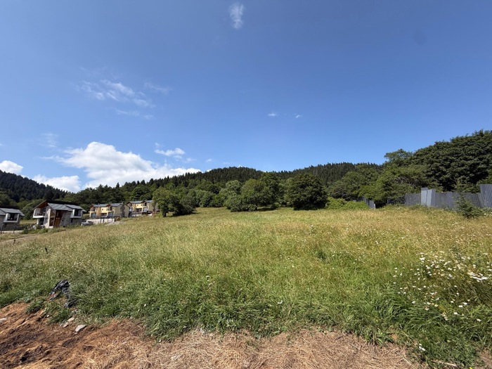 https://static.ss.ge/20260811/4_edf90f06-4bae-435e-bc07-8ca0de614827_Thumb.jpg