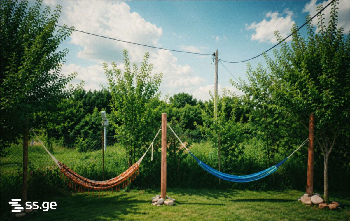 7 Room Summer Cottage Daily Rent. Tianeti view 11
